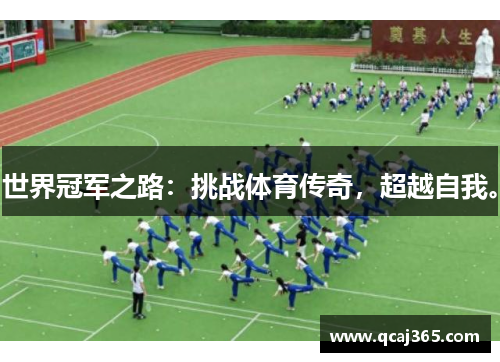 世界冠军之路：挑战体育传奇，超越自我。